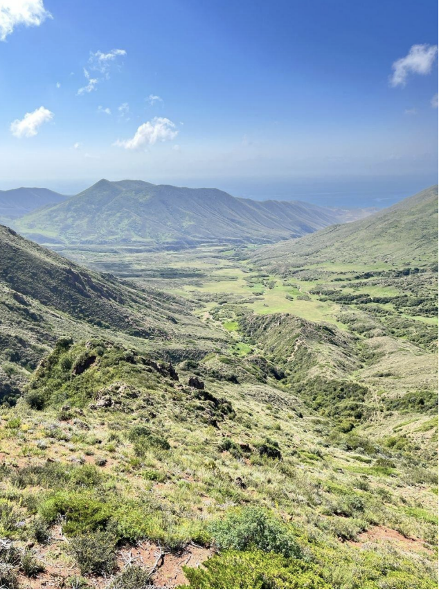 Фото кемпа 4